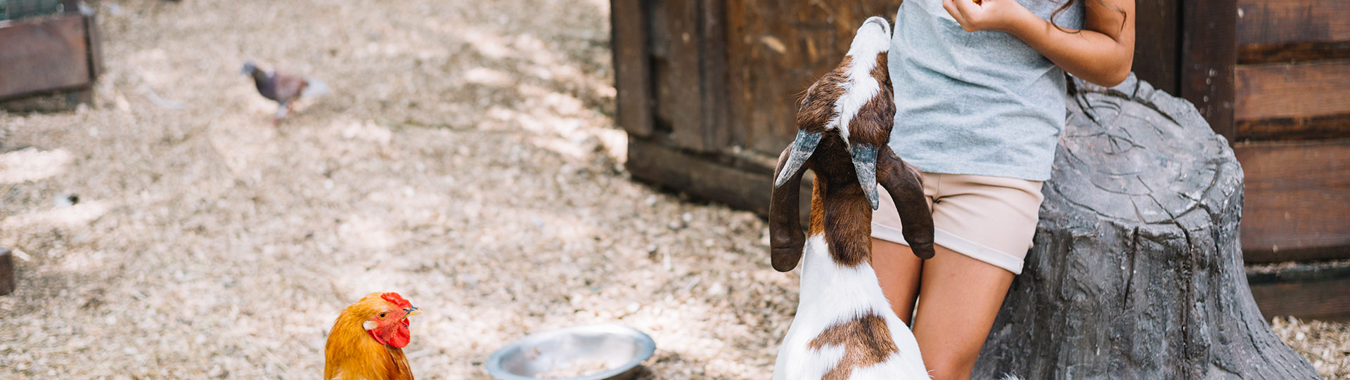 Services de notre camping Services de notre camping